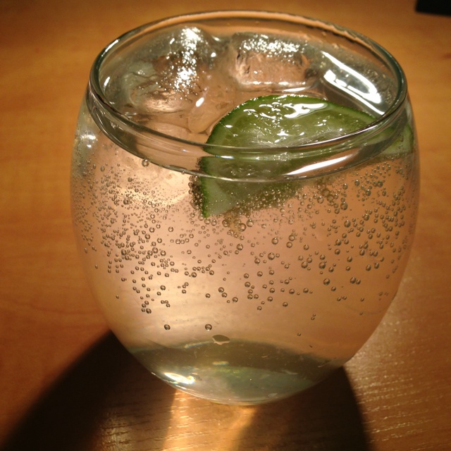 gin tonic 金汤力