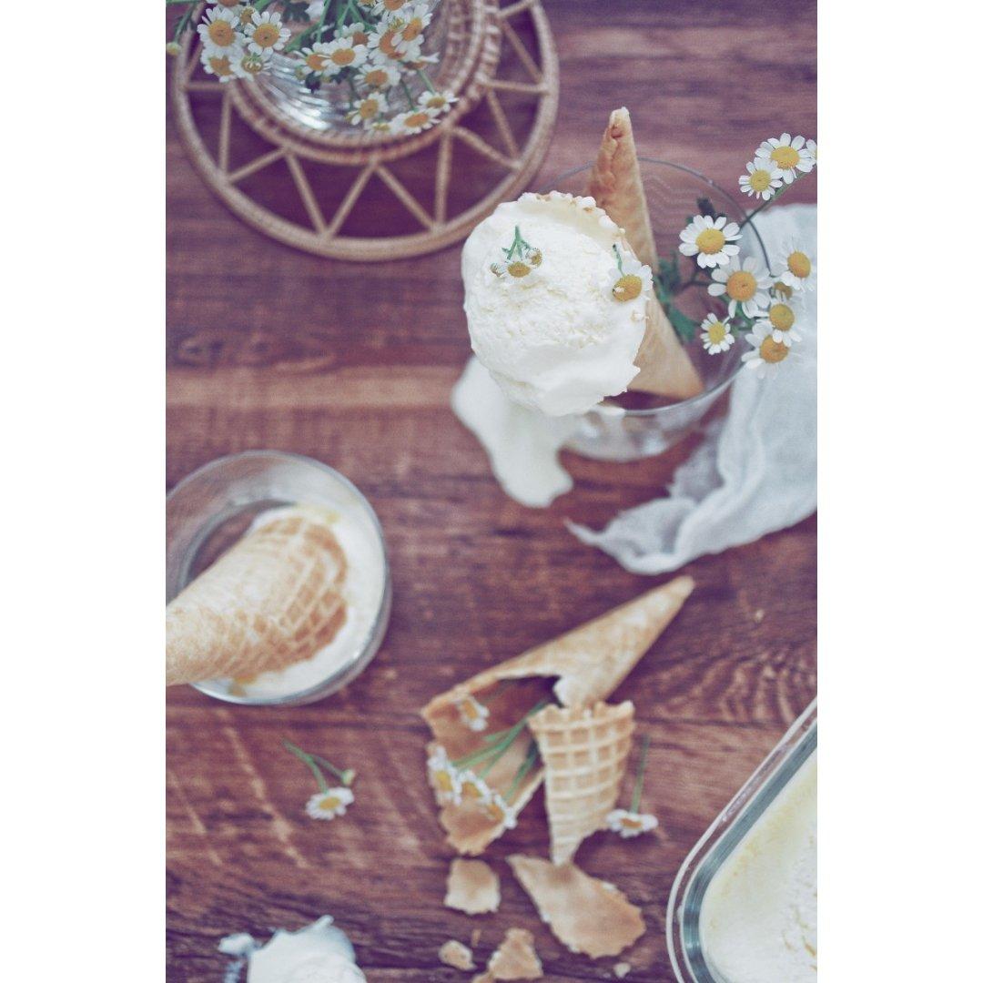 【小高姐】香草冰淇淋 手工制作的经典冰淇淋