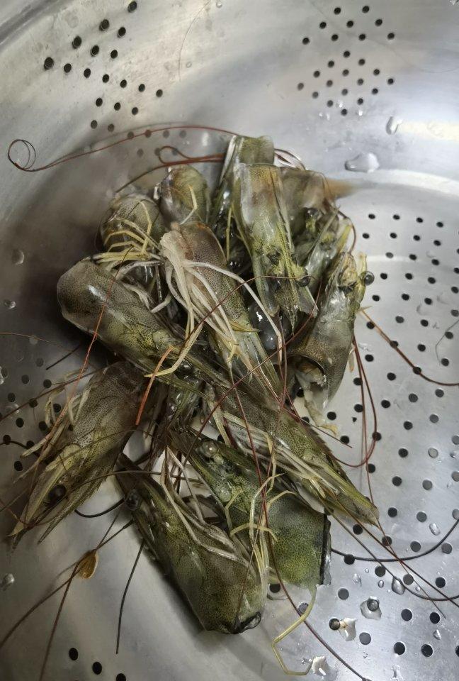 油炸虾头#秋季保胃战#