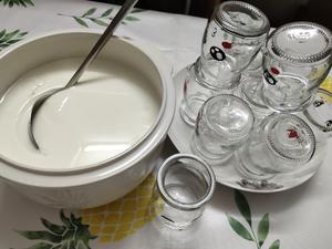 自制水果酸奶的做法 步骤3