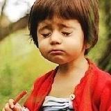 小猫咪爱小西瓜