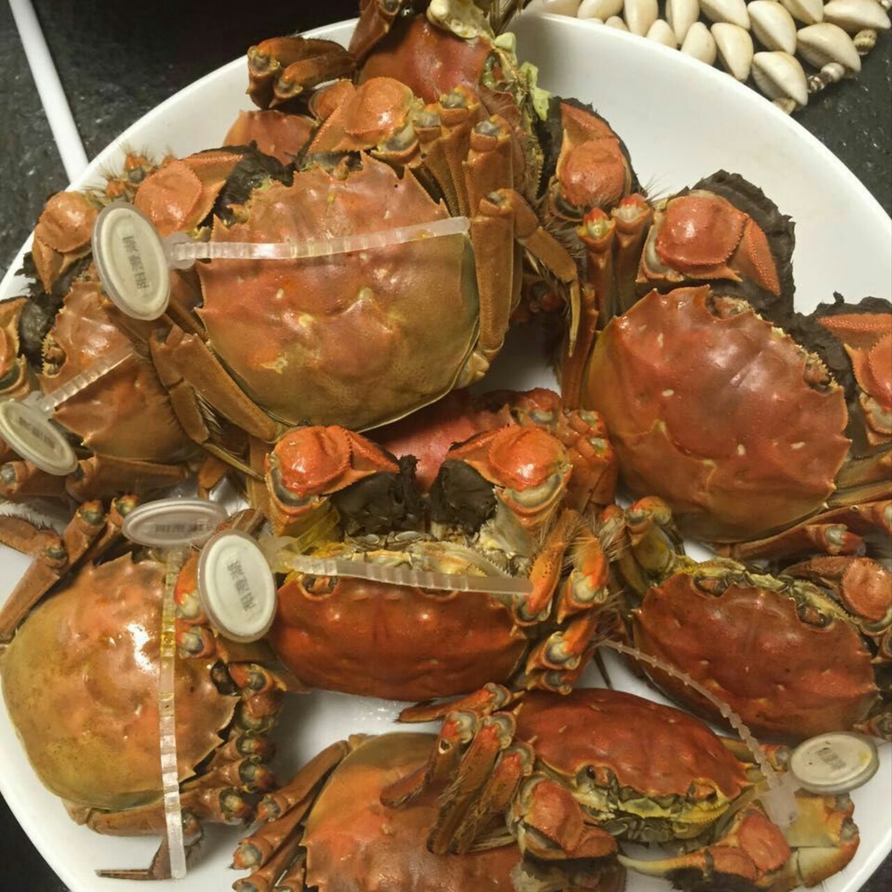 清蒸大闸蟹