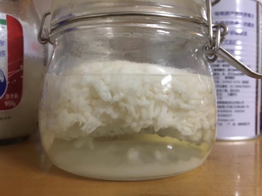 醪糟和米酒（附上剩饭版）