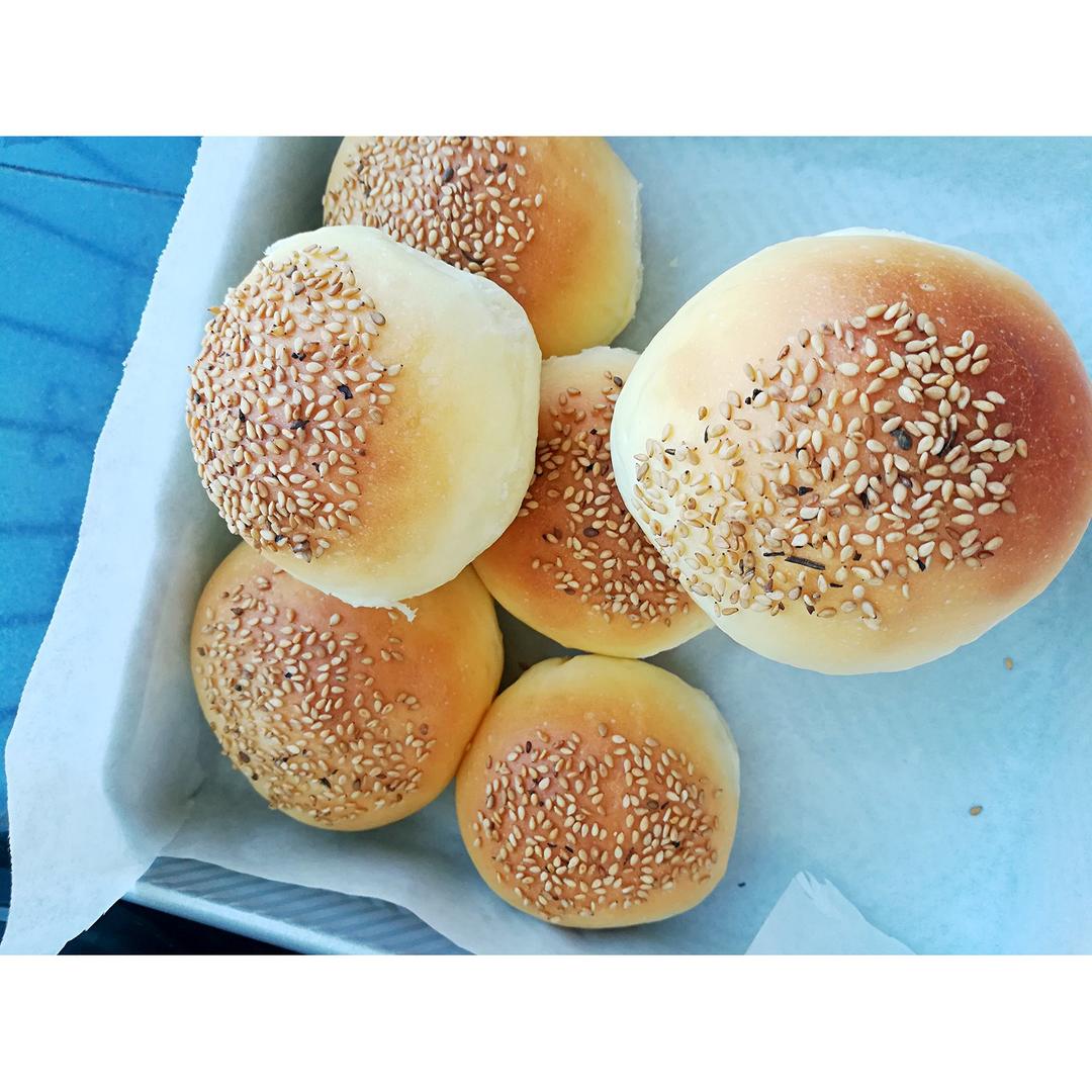 汉堡胚 poolish（波兰种）