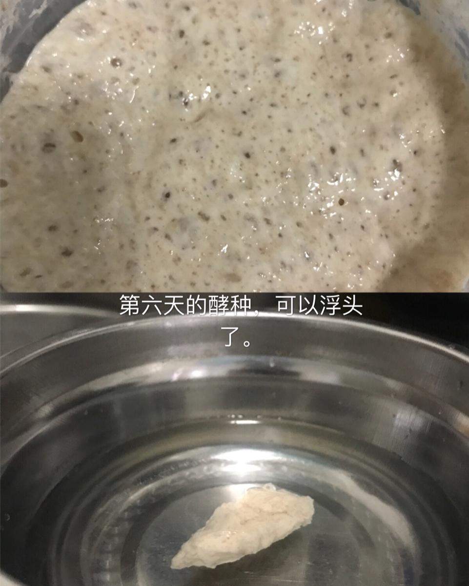 【Ken Forkish】天然酵种培养
