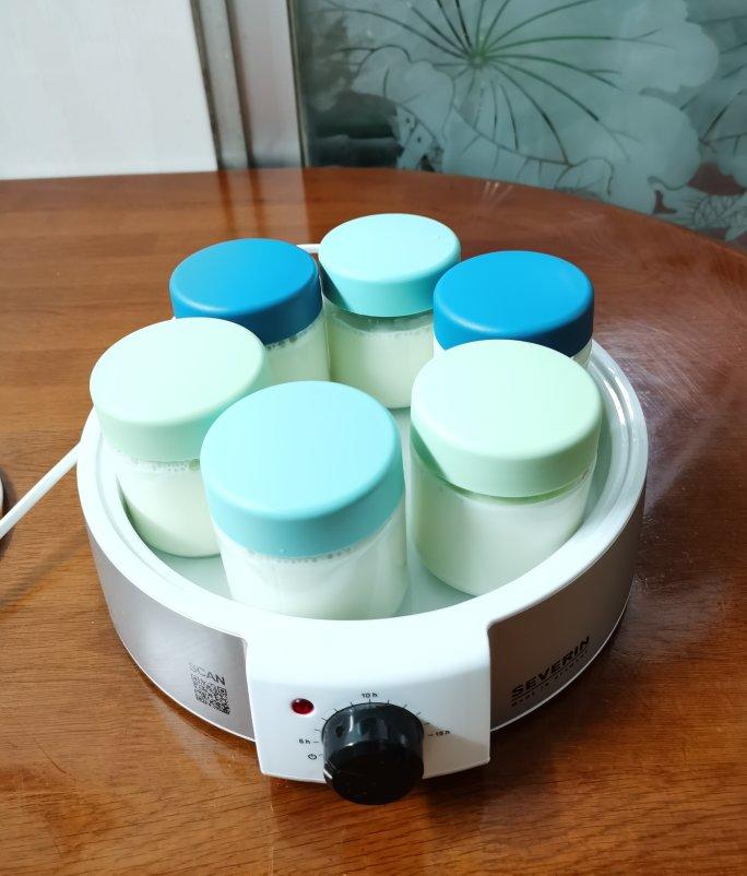 酸奶水果捞（附自制浓稠酸奶的做法）