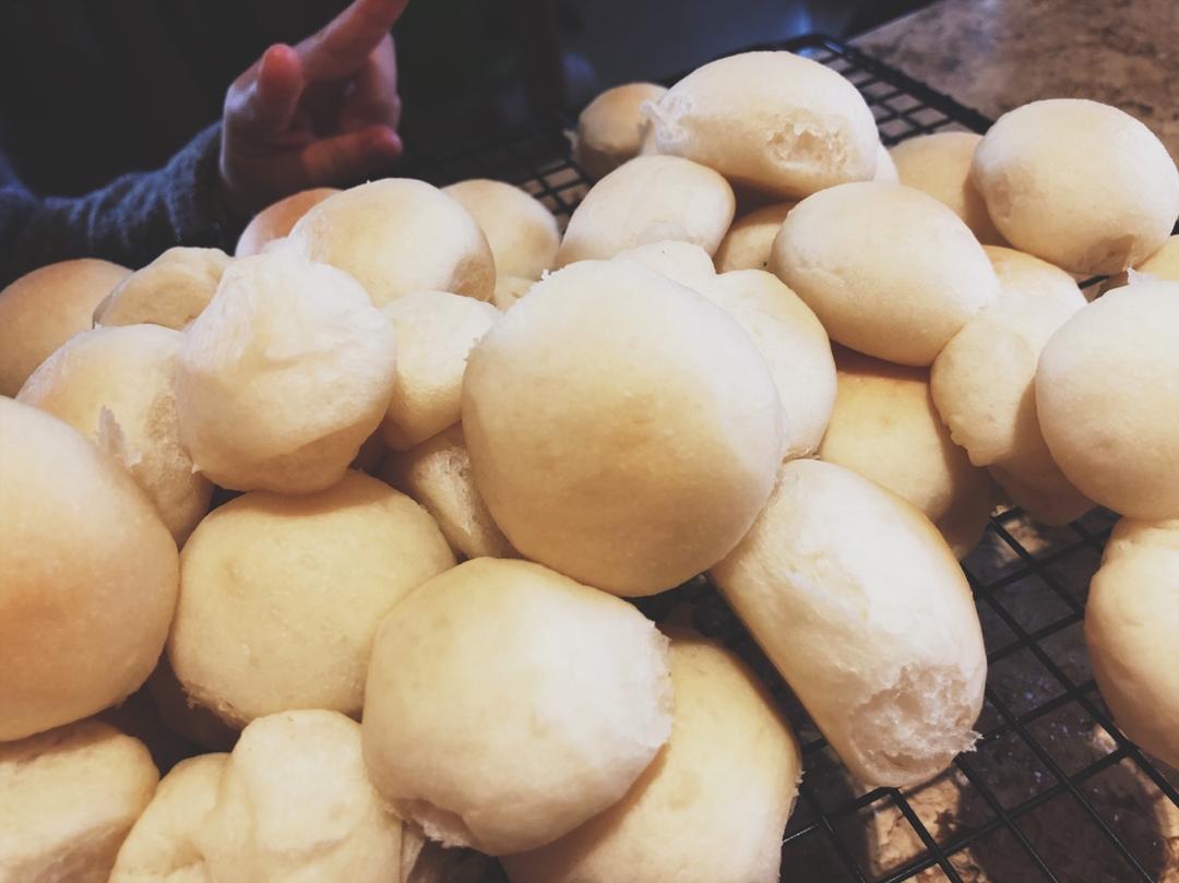 回饼(云南产)的全部作品