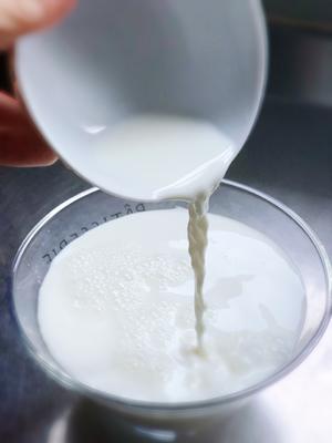 传统制法的希腊酸奶（不用酸奶机也能做出味道传统的希腊酸奶）的做法 步骤5