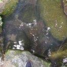 我想找个师傅学厨艺