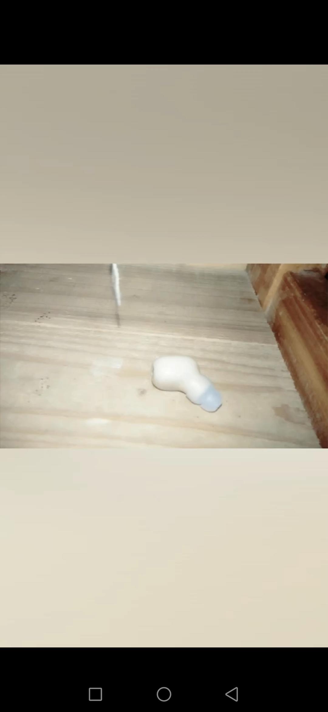 处理茄子