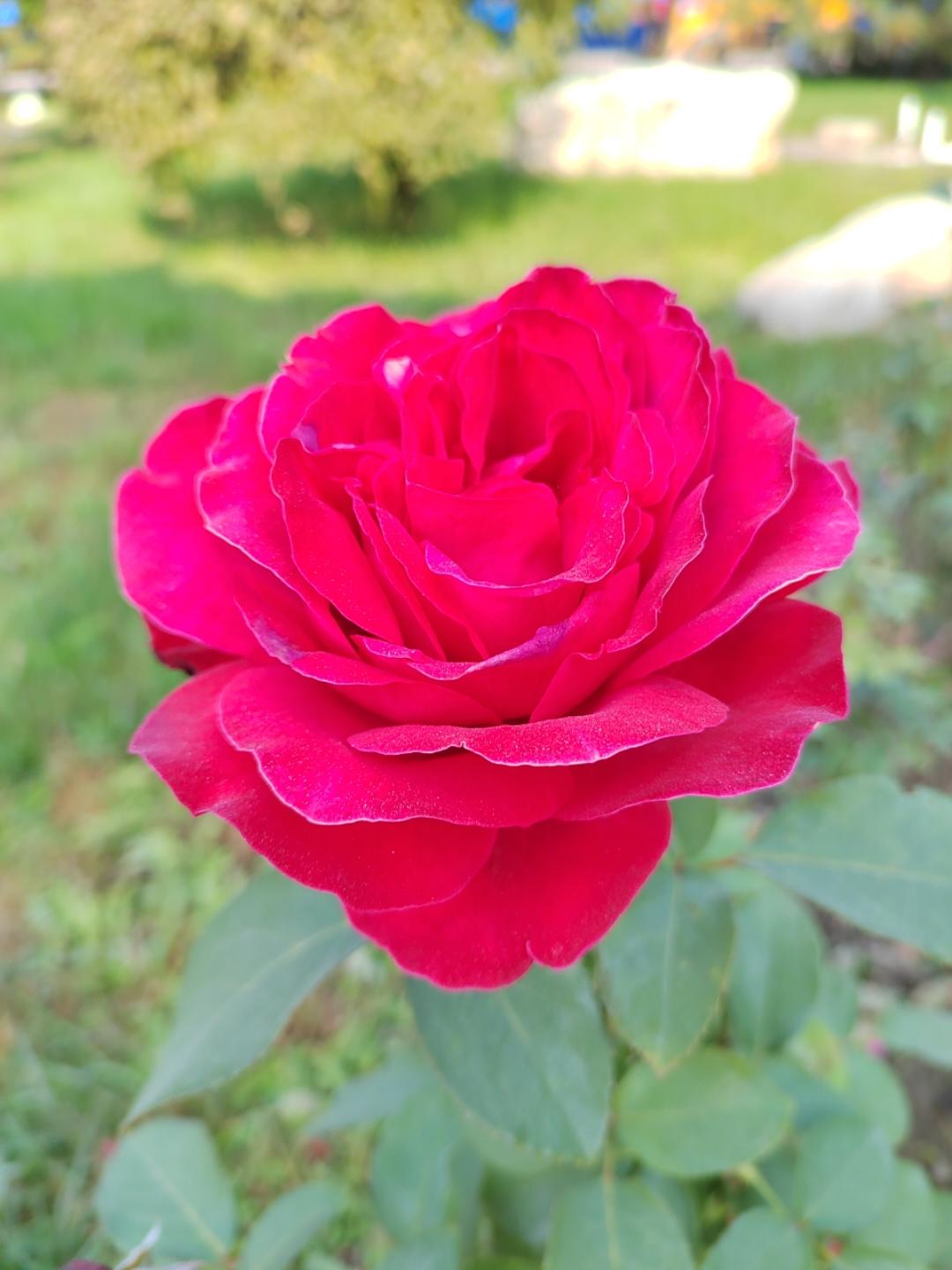 下厨房用户_t147c