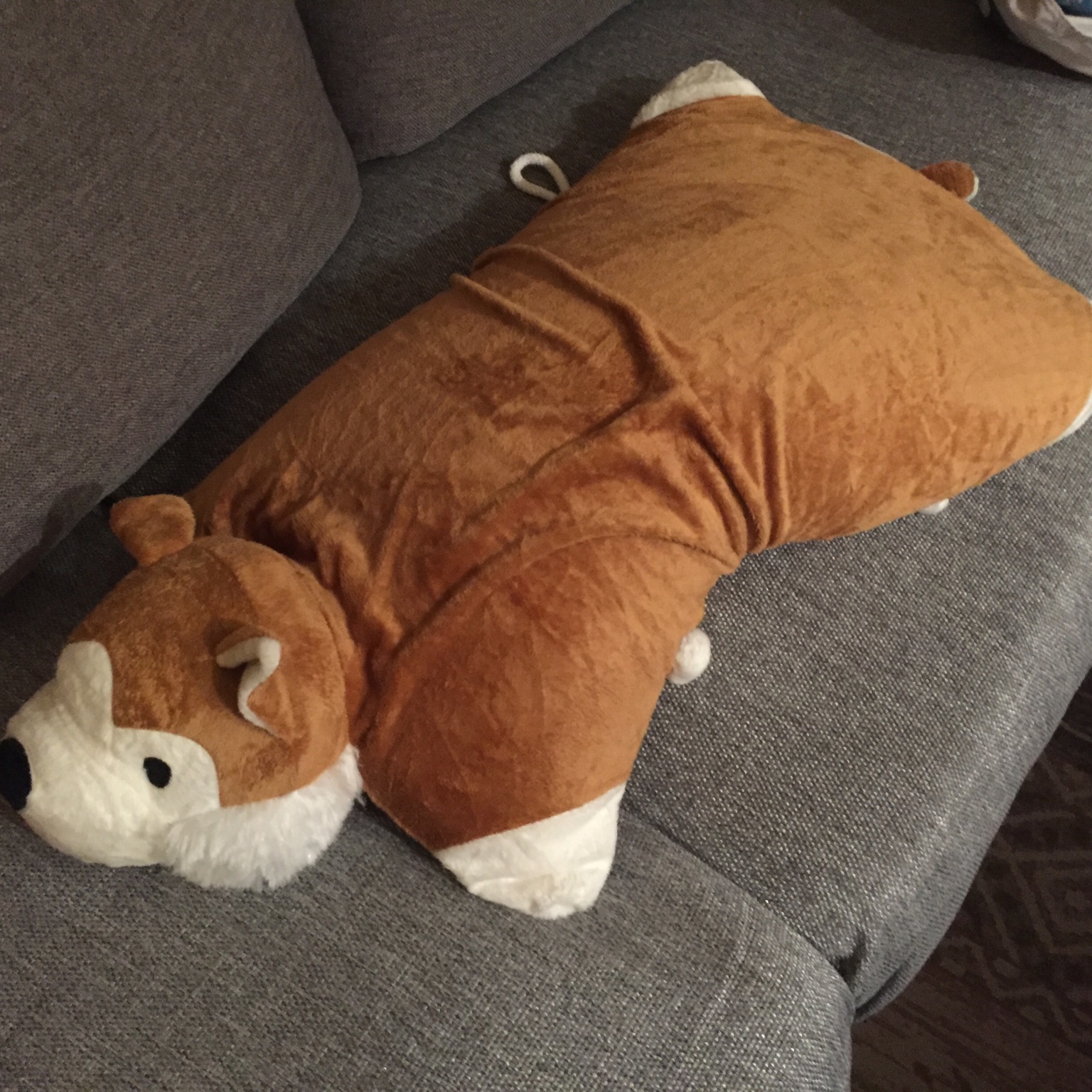 骑着小猪的小鬼鬼