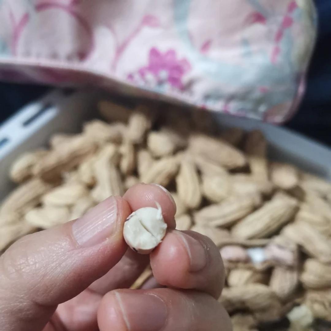 烤带壳花生