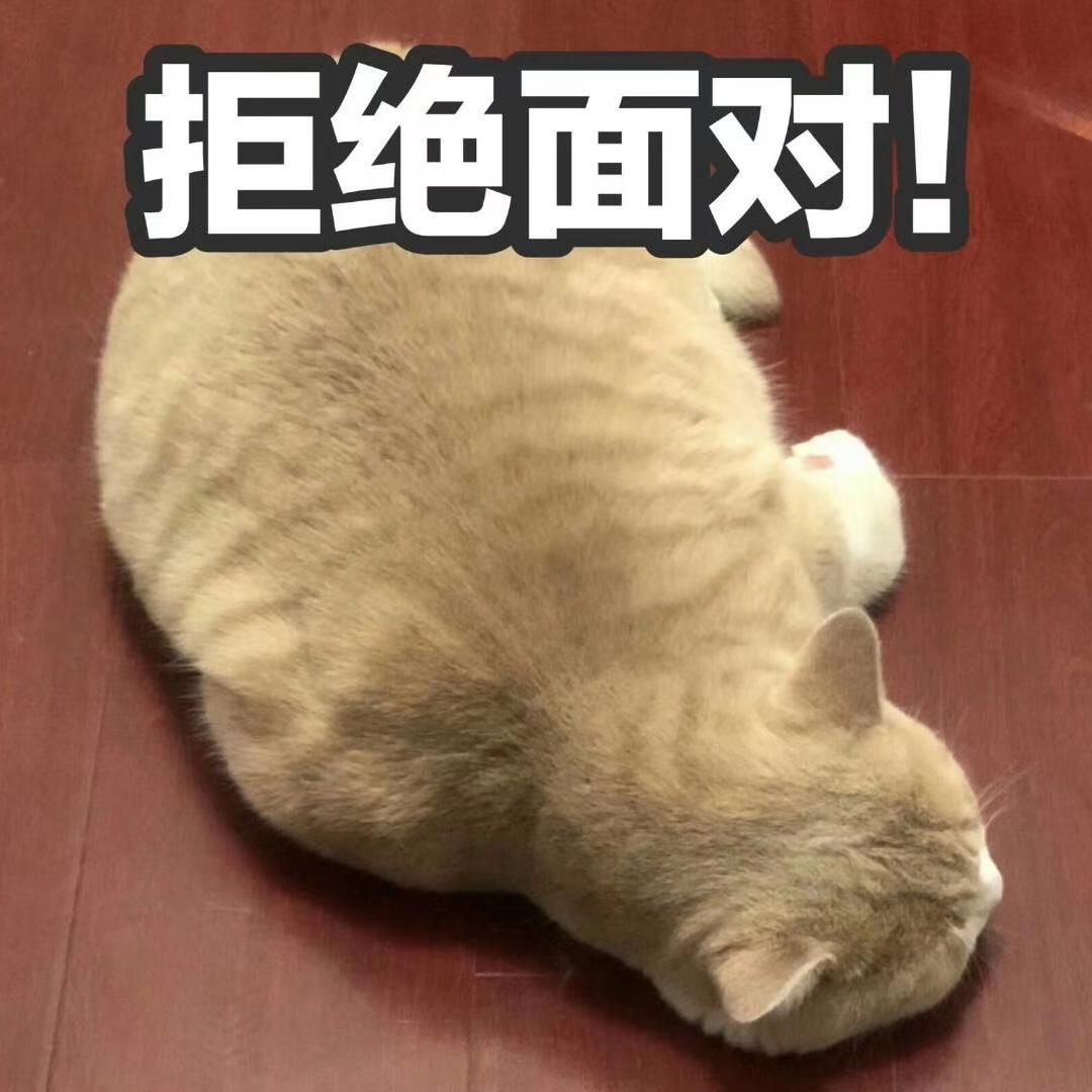 懒人清
