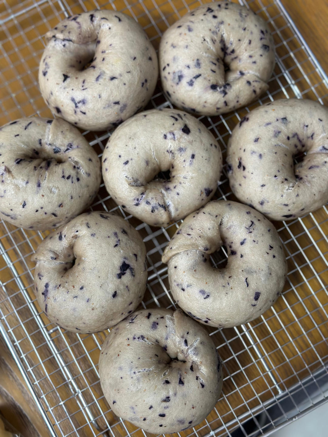 蓝莓乳酪贝果🥯越嚼越香🔥这个配方绝了