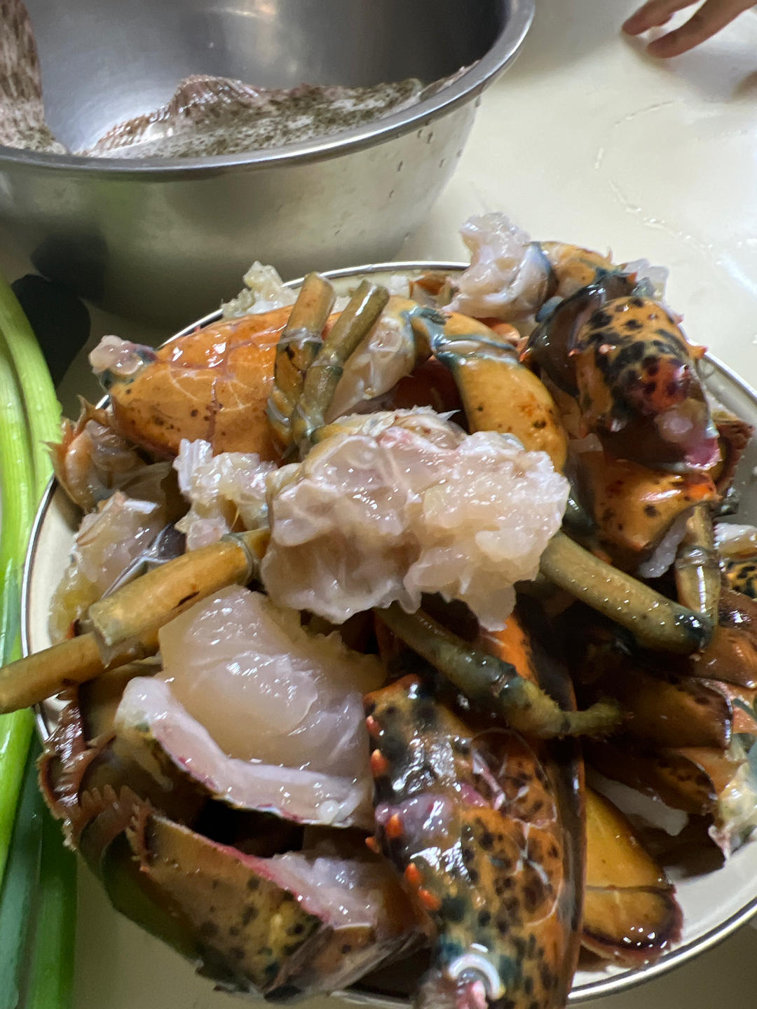 处理波士顿龙虾