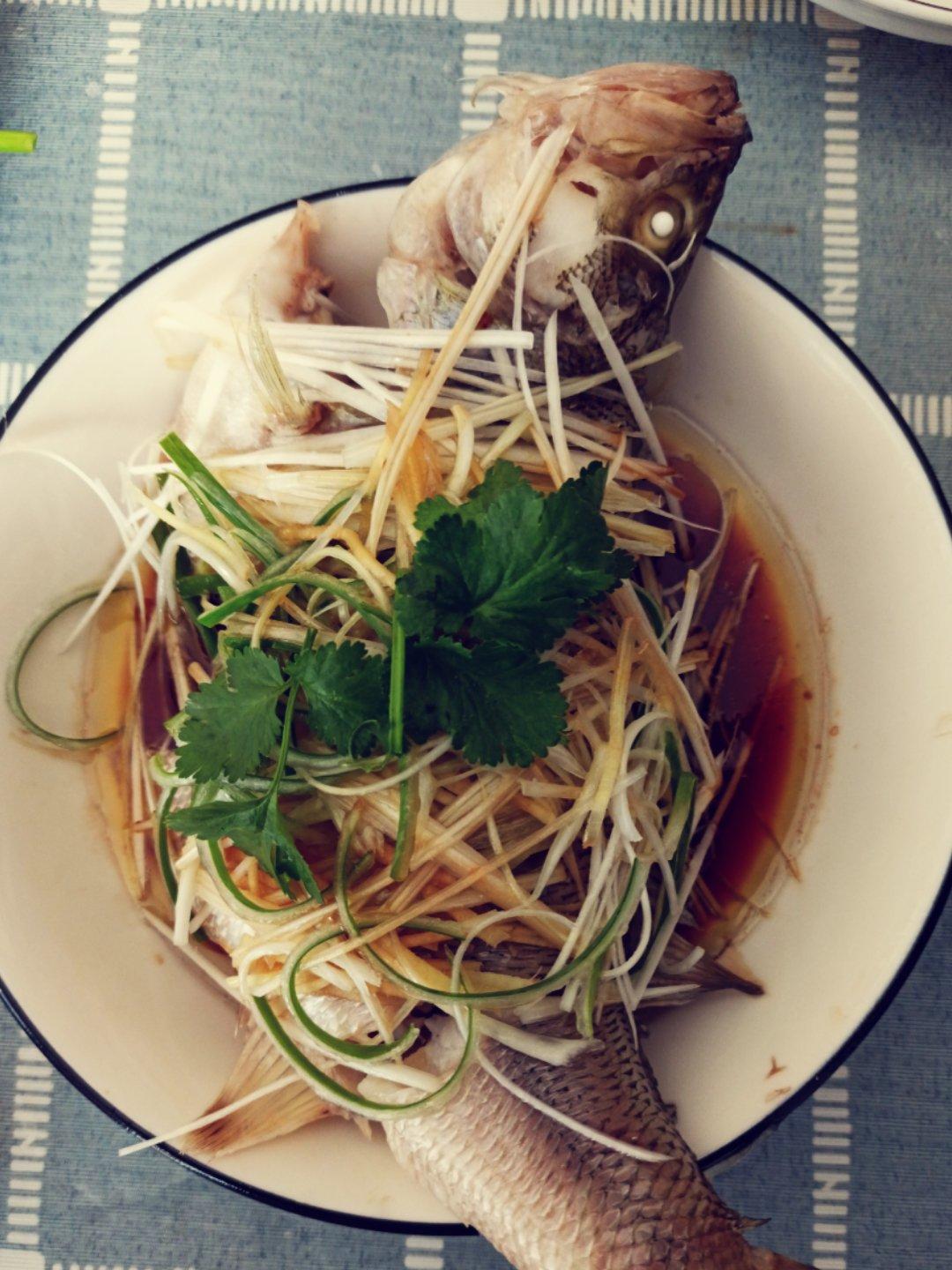 新手零失败的清蒸鲈鱼