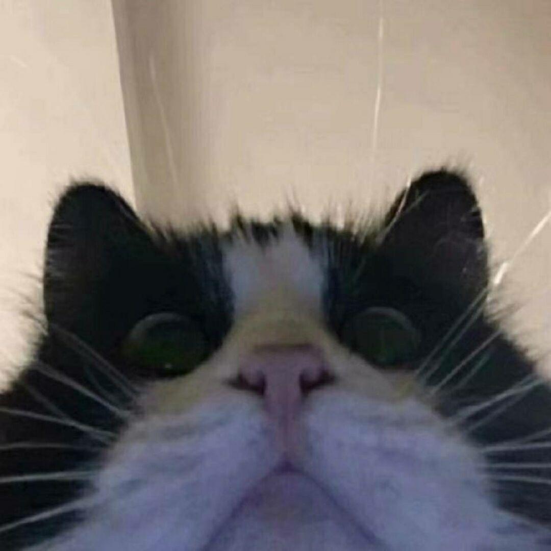 huahuahuahuahuahua