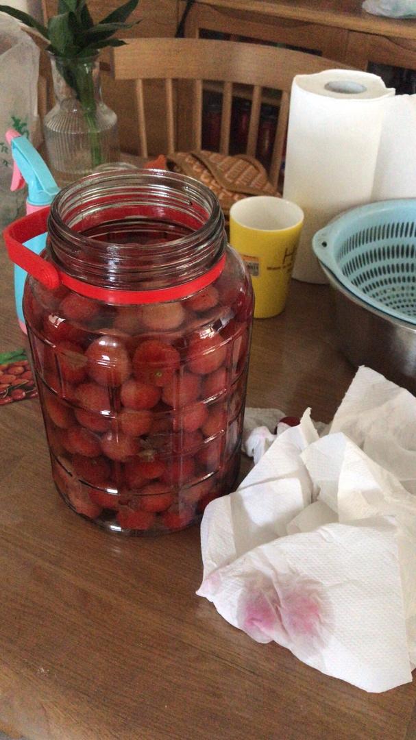 【视频】杨梅干、杨梅汽水、杨梅酒～杨梅的三种保存方法