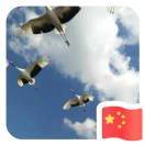 果然7877