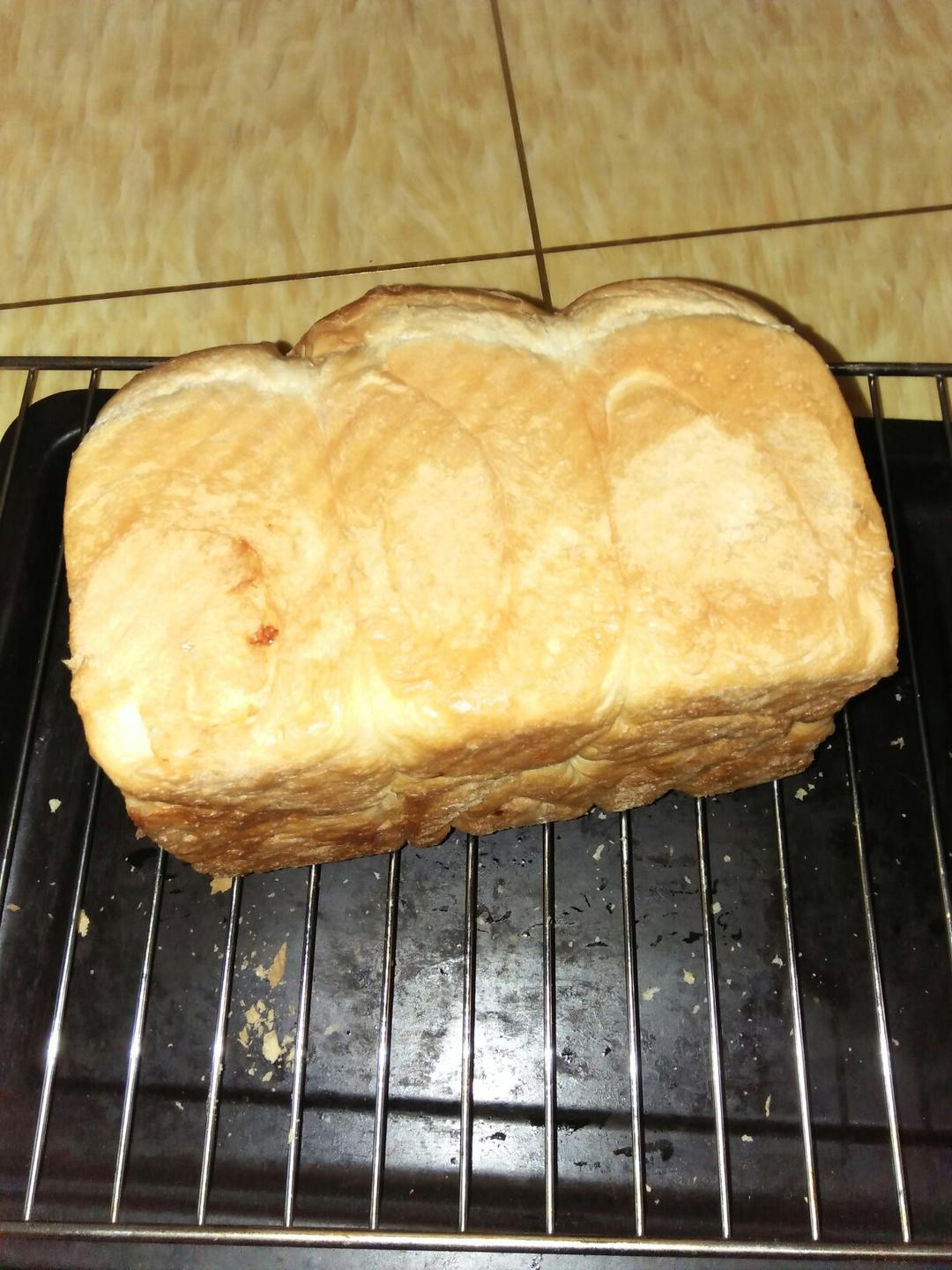 夺命软吐司(๑´ڡ`๑)超软拉丝极速方便的一次发酵吐司