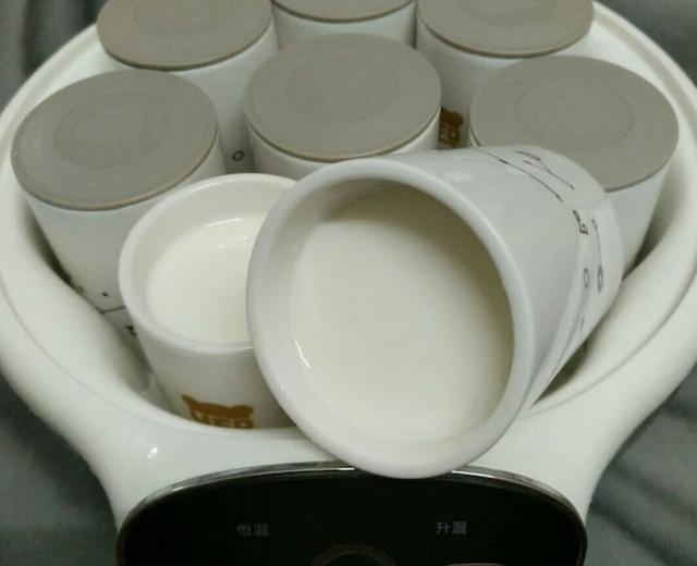 自制酸奶的做法