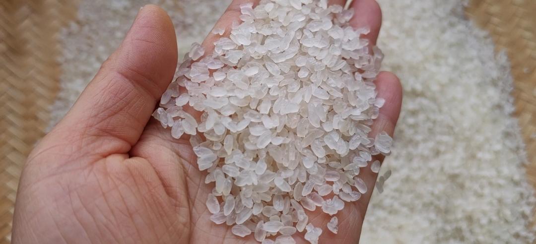 阴米的正宗做法