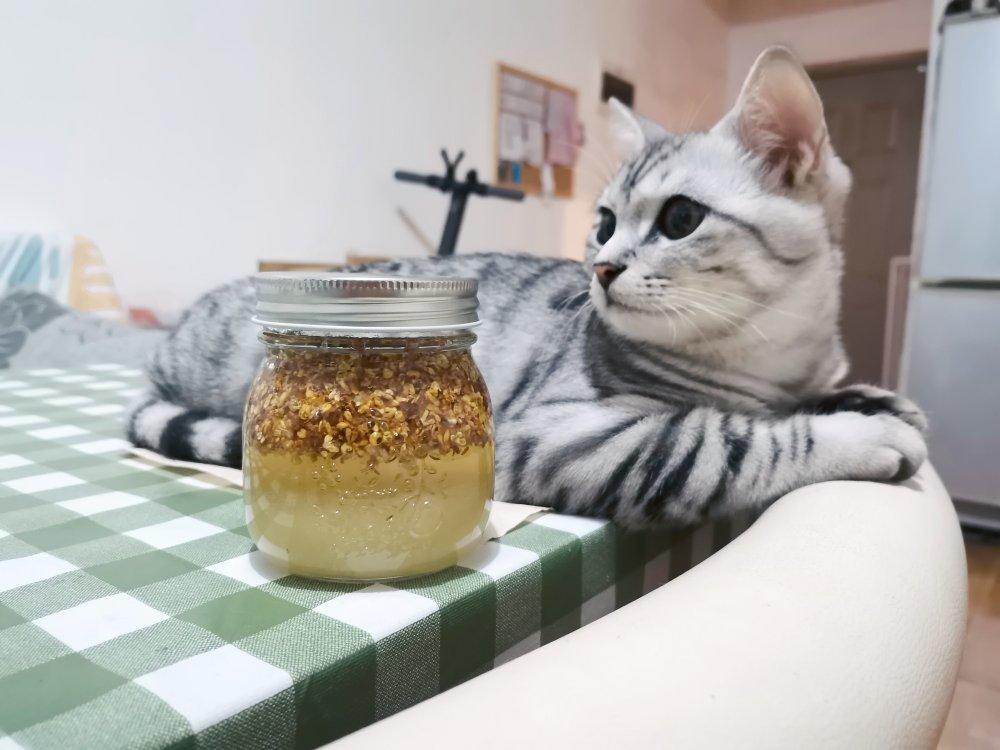 自制桂花蜜酱