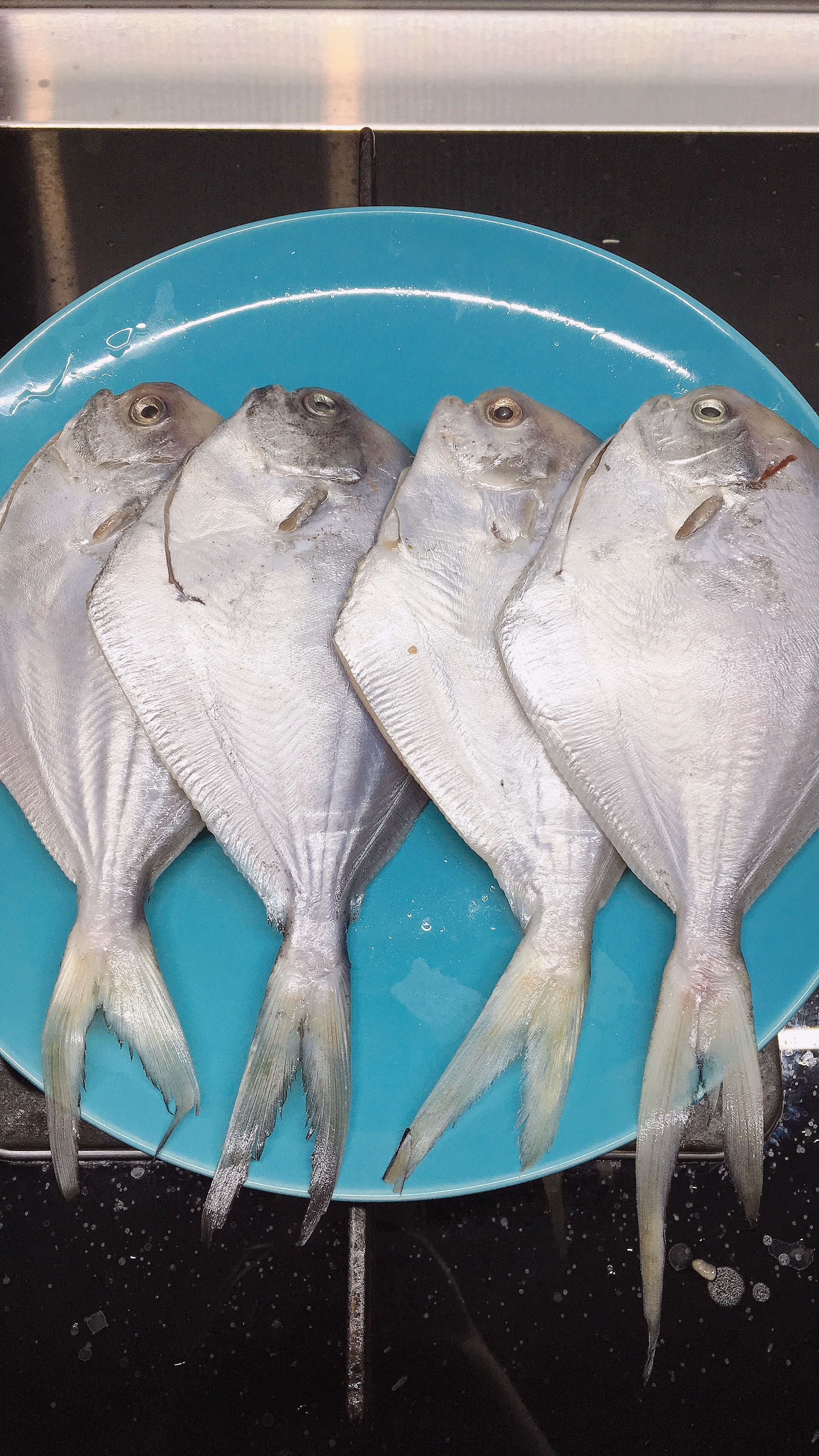 不腥的冷冻鲳鱼做法（盐煎鲳鱼，红烧鲳鱼，香辣鲳鱼）的做法
