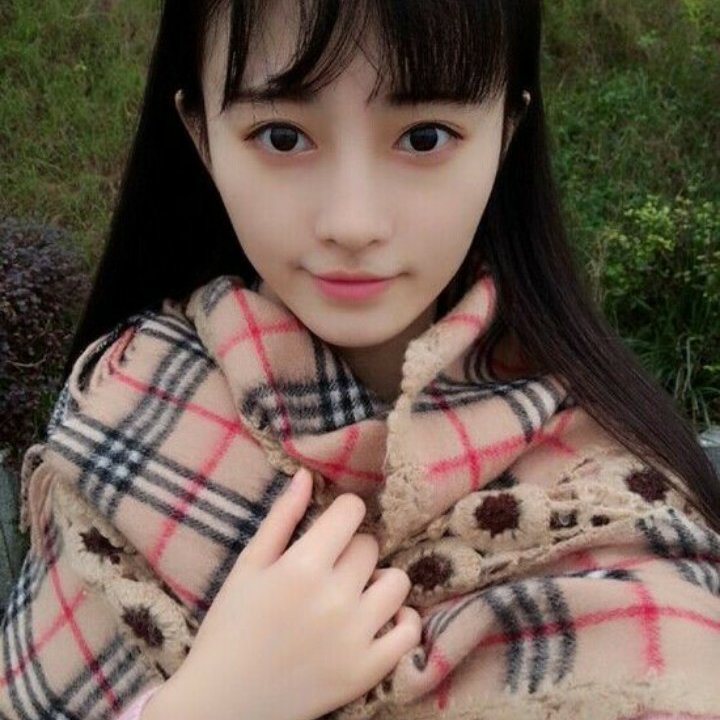网络v狐