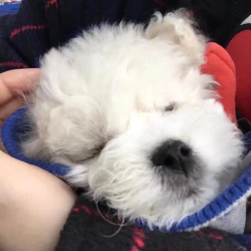 日后再说好吗