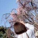 手机用户0905_fg3t