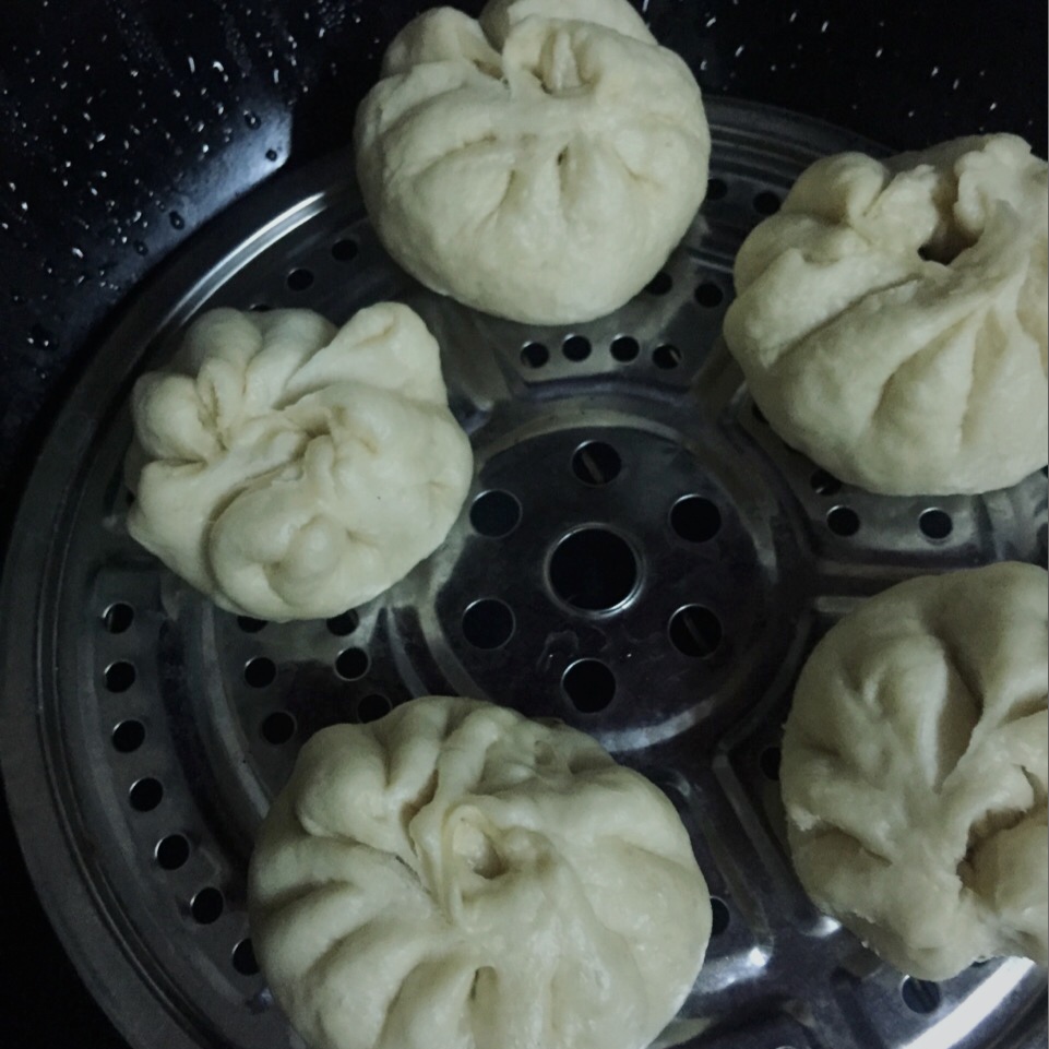家庭手工肉馅大包子