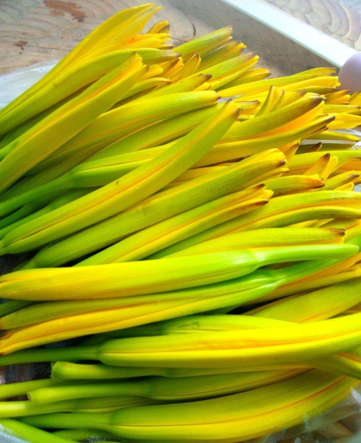 午餐•2018年6月5日