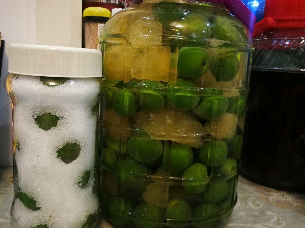 零失败【青梅酒 & 梅子露】梅子的沉淀岁月