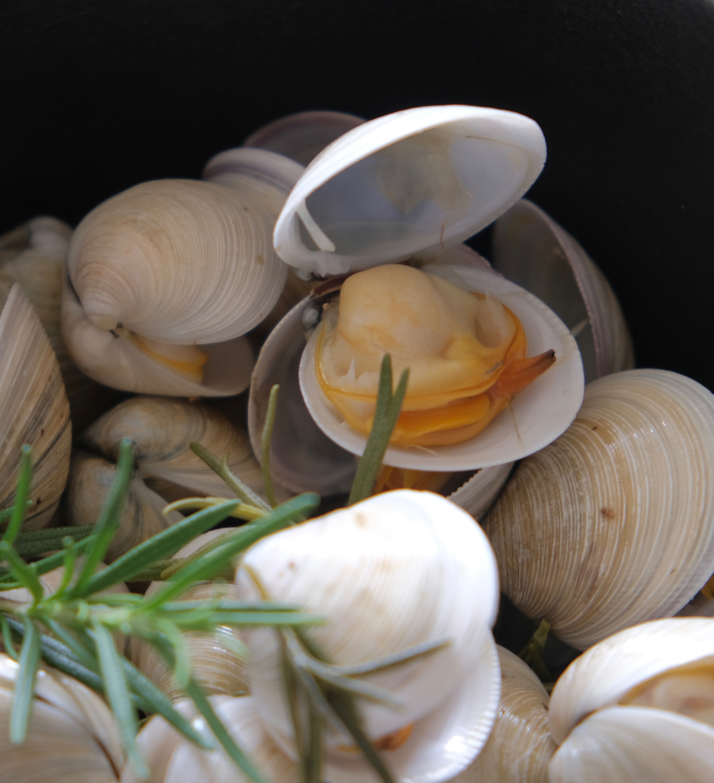 铸铁锅干煎蛤蜊洋葱的做法