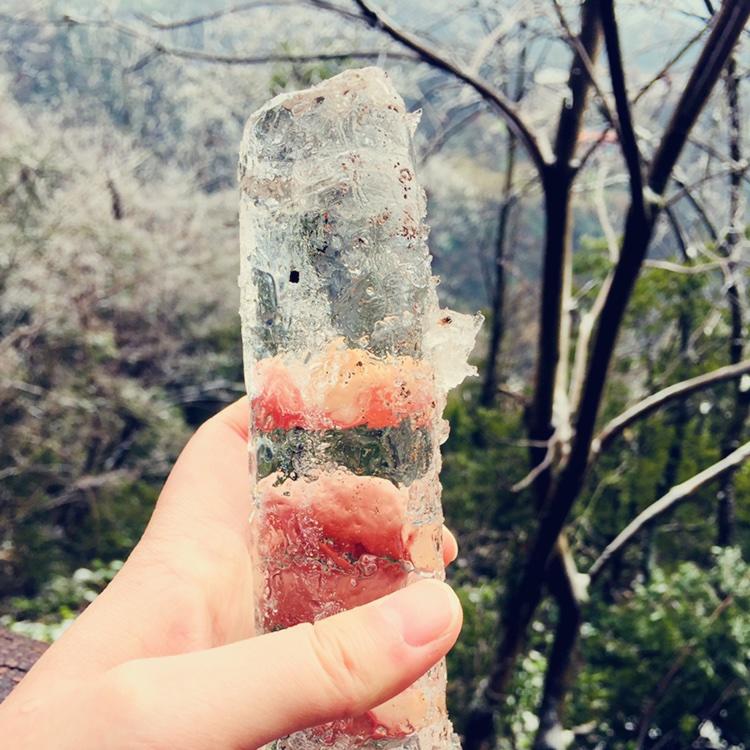 筱荷才露尖尖角