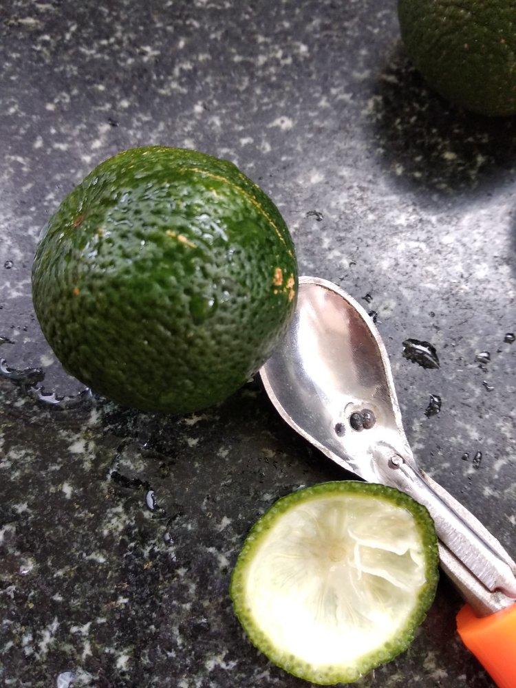 自制新会柑普茶