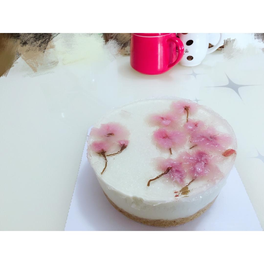 🌸樱花冻芝士蛋糕🌸6寸