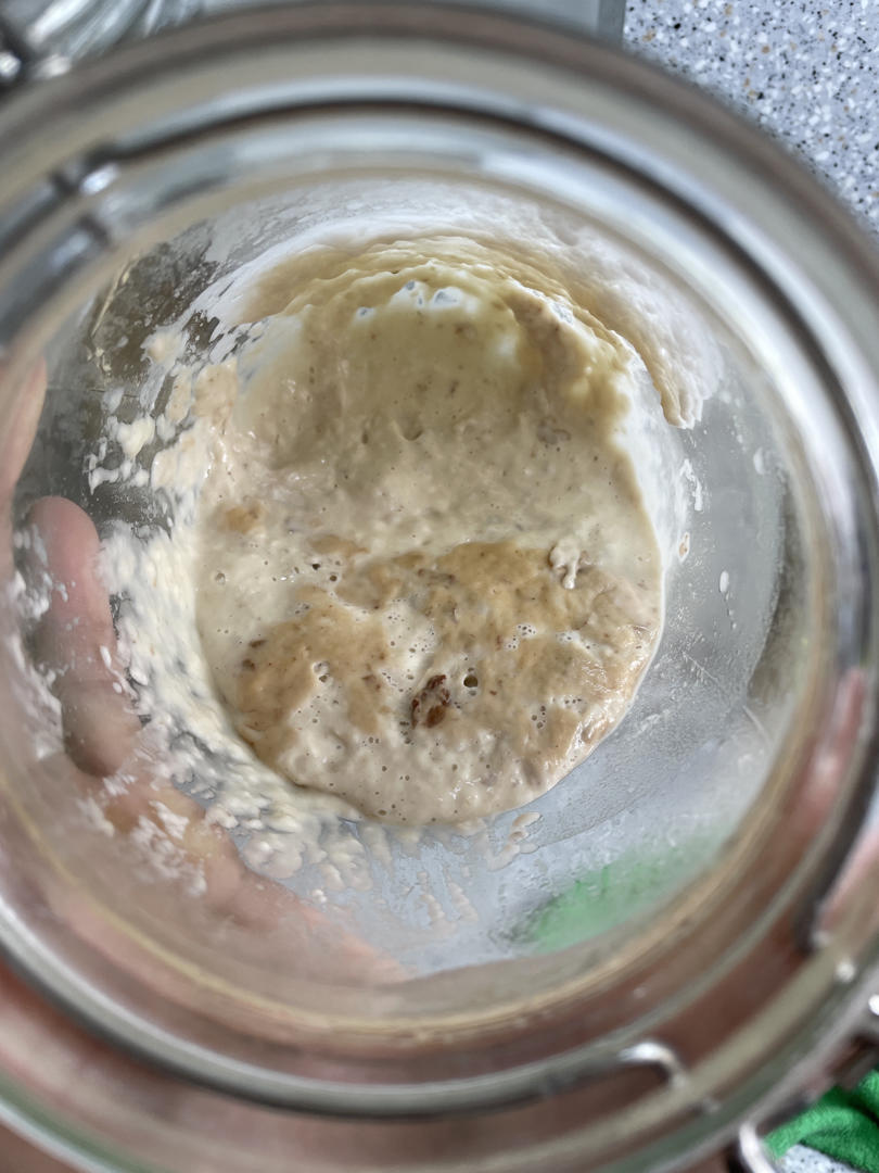 天然酵母宝宝养成记