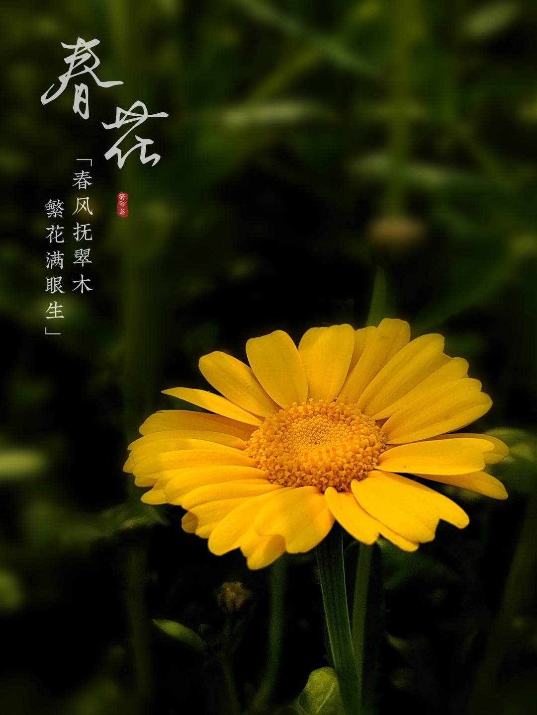 光影记事本