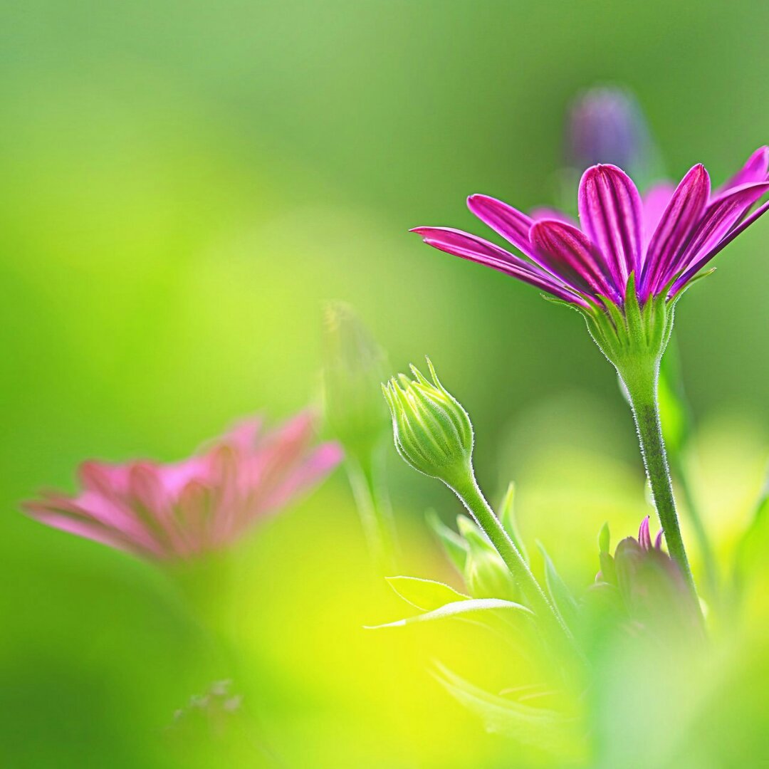 手机用户2512_dnf9