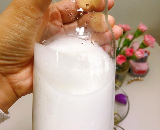 自制椰浆椰奶（简单又经济）