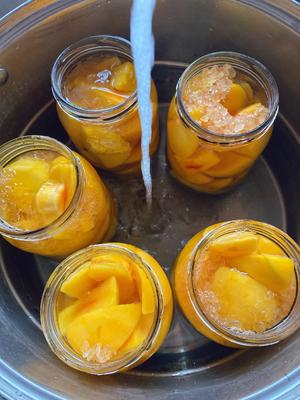 黄桃罐头（常温能放两年的黄桃罐头）的做法 步骤4