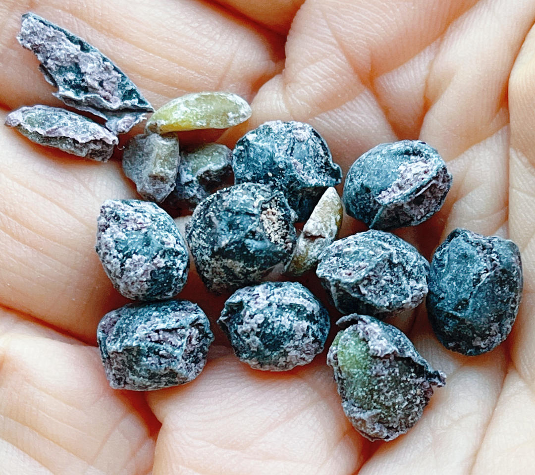 简单健康的黑豆小零食