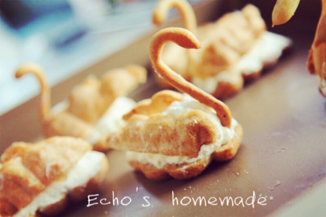 优雅的天鹅泡芙--简单易学