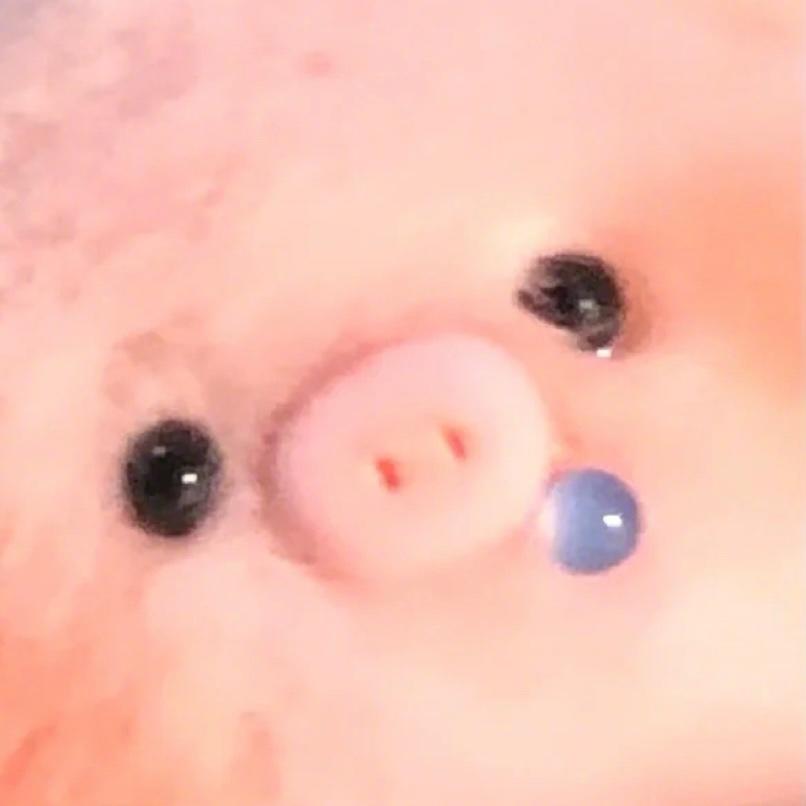 蜂蜜蛋糕的做法