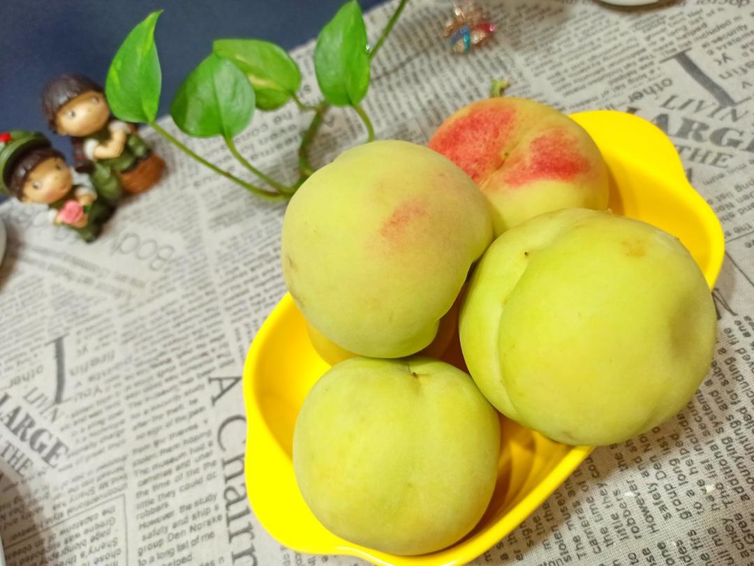 诱人的果果们🍊🍐🍎🍏🍓🍈🍒🍋🍅🍉🍇🍑🍍🍌