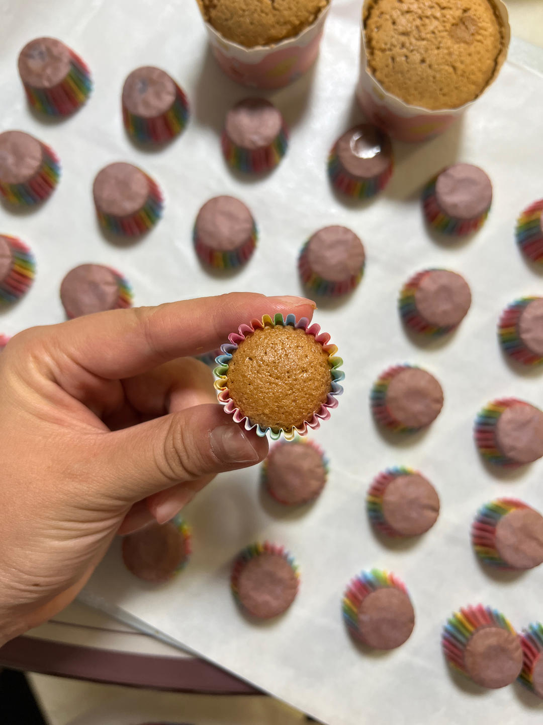 视频👶一口一个｜超可爱｜原味｜mini宝宝小蛋糕｜48连24连通用