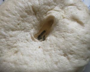 面包篇～椰蓉花面包的做法 步骤3